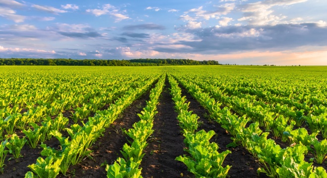19. biogazownia Polskiej Grupy Biogazowej