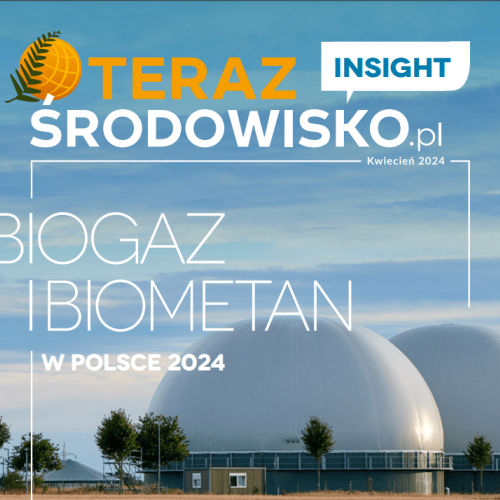 Publikacja Teraz Środowisko „Biogaz i biometan w Polsce 2024. Insight”