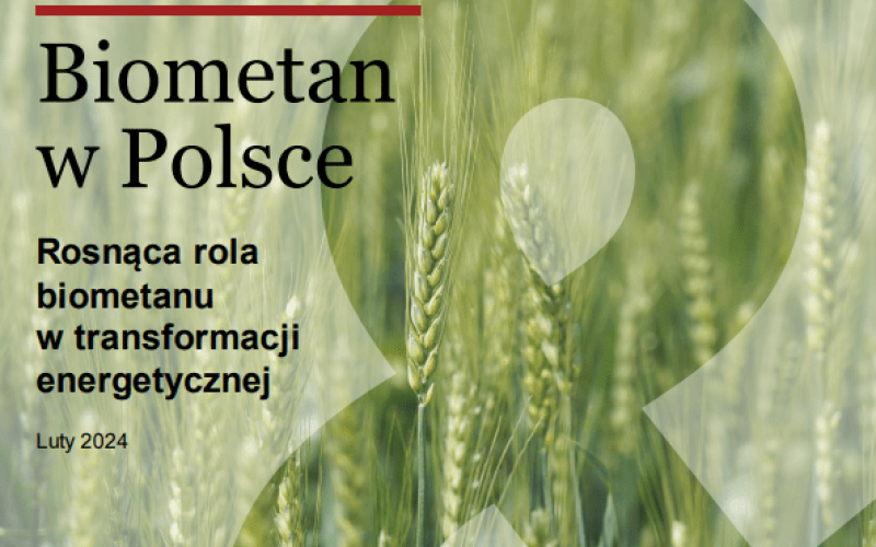 Raport PwC: „Biometan w Polsce. Rosnąca rola biometanu w transformacji energetycznej” 