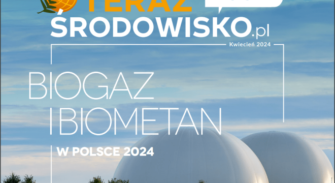 Publikacja Teraz Środowisko „Biogaz i biometan w Polsce 2024. Insight”