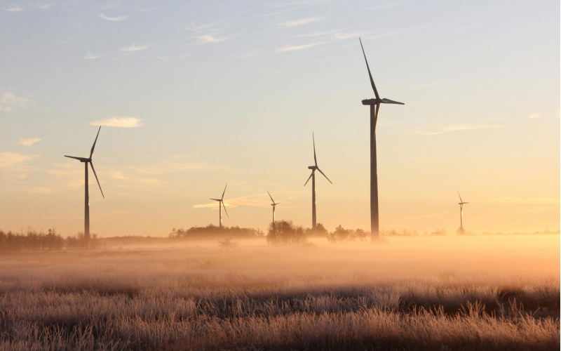 Odnawialne źródła energii a ulga inwestycyjna w podatku rolnym – wybrane zagadnienia